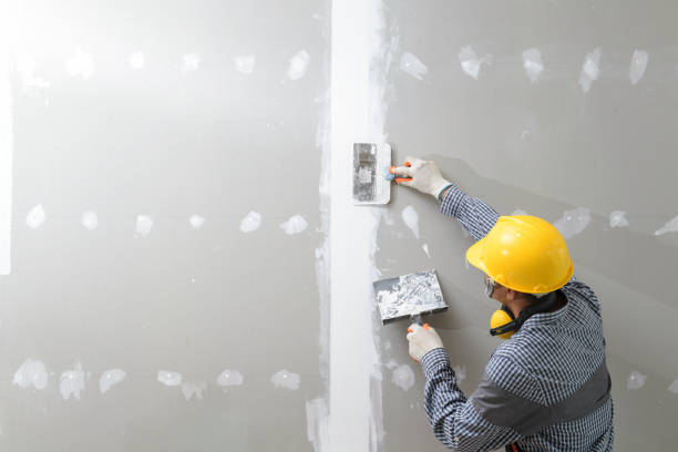 Best Mold Odor Removal Services  in Brimfield, OH